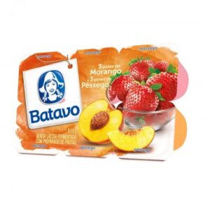 BEBIDA LACTEA BATAVO POLPA MOR PES 510GR