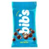 CHOCOLATE BIBS PASSAS 40GR