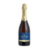 ESPUMANTE SALTON BRUT 750ML