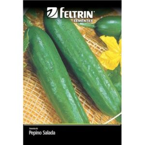 SEMENTE FELTRIN PEPINO AODAI
