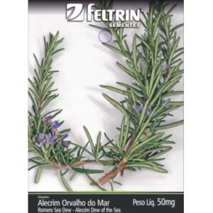 SEMENTE FELTRIN ALECRIM ORVALHO MAR