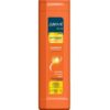 CONJ PANTENE SH COND EQUILIBRIO 450ML