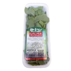 HORTI HORTELA GAUER TEMPE