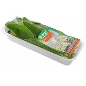 SALVIA GAUER TEMPEROS 18G